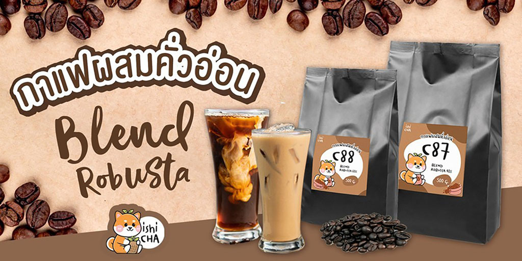 กาแฟผสมคั่วอ่อน coffee blends ishicha ถูกที่สุดในตลาด