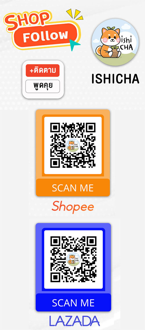 ช่องทางสั่งซื้ออิชิชา ishicha thailand shop follow หาซื้อชาราคาถูก